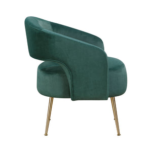Velvet Fabric Accent Chair