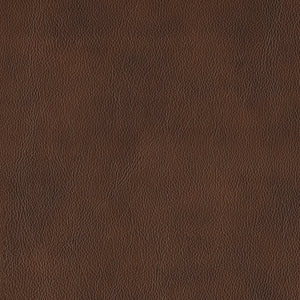 Leather Power Double Reclining Sofa
